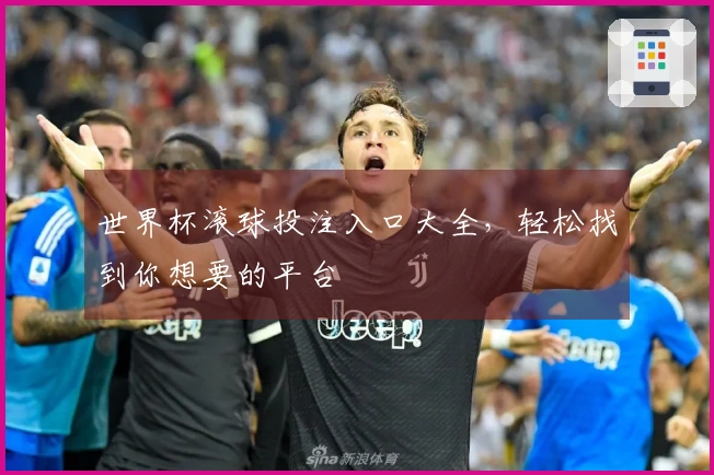 世界杯滚球投注入口大全，轻松找到你想要的平台