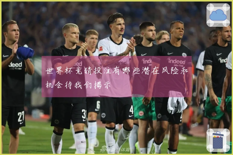 世界杯竞猜投注有哪些潜在风险和机会待我们揭示