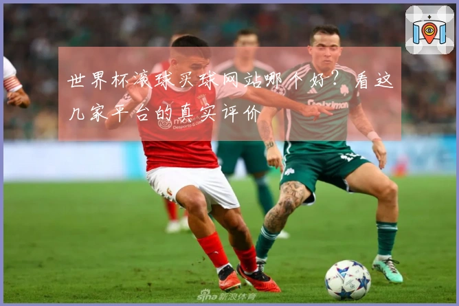 世界杯滚球买球网站哪个好？看这几家平台的真实评价