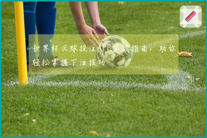 世界杯买球投注APP实战指南，助你轻松掌握下注技巧