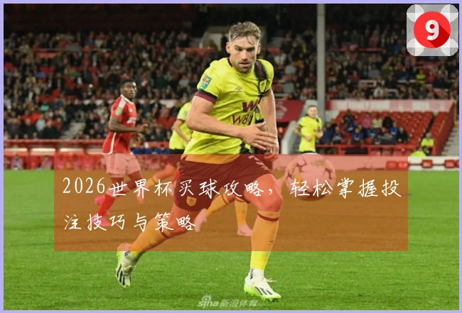 2026世界杯买球攻略，轻松掌握投注技巧与策略