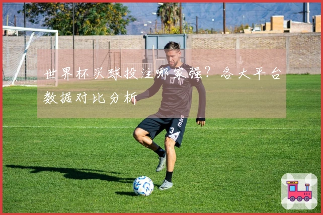 世界杯买球投注哪家强？各大平台数据对比分析