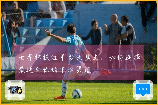 世界杯投注平台大盘点，如何选择最适合你的下注渠道