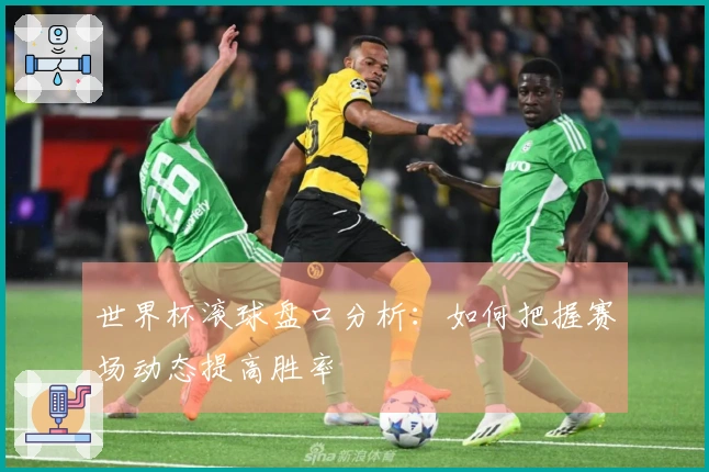世界杯滚球盘口分析：如何把握赛场动态提高胜率