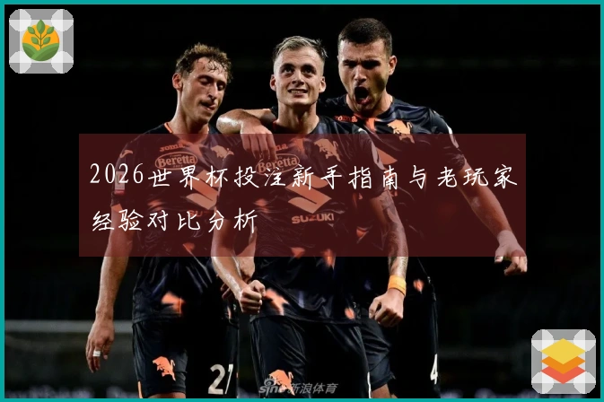 2026世界杯投注新手指南与老玩家经验对比分析
