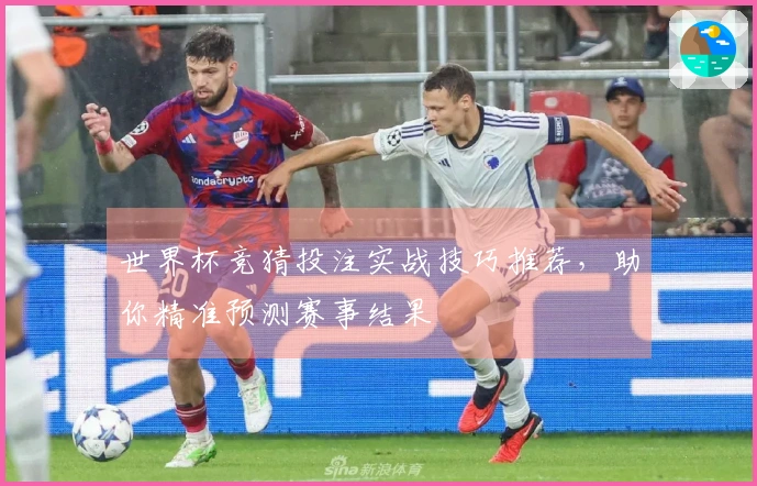 世界杯竞猜投注实战技巧推荐，助你精准预测赛事结果